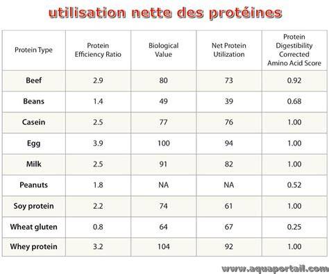 Comparatif des protéines et substitutions possibles