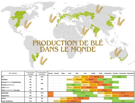 Carte des producteurs mondiaux de lentilles