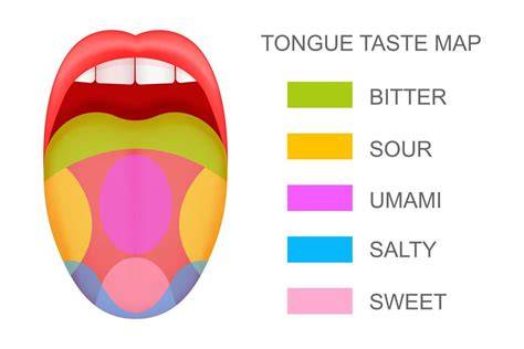 Carte gustative et sensorielle: comparaison des textures des beurres Sephora