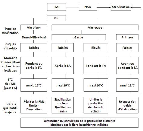 Schéma des étapes de la FML et de l inoculation