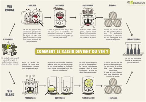 Schéma du voile de levures et du cycle d’élevage du Vin Jaune