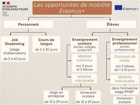 Infographie: Parcours des mobilités Erasmus dans les formations agricoles