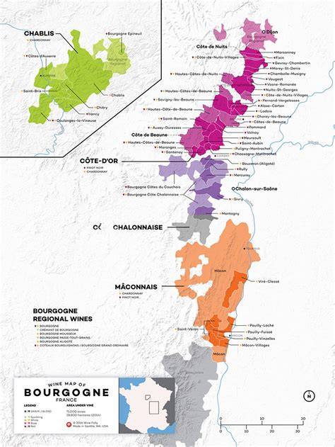 carte vin Bourgogne