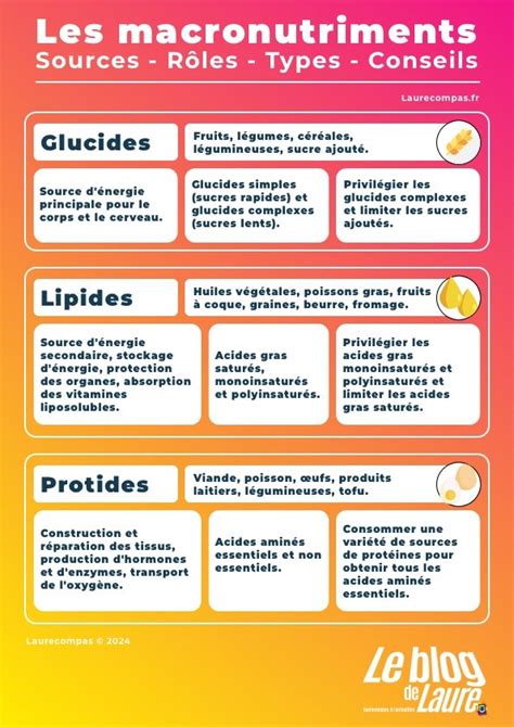 Infographie: Rythmes digestifs et macronutriments par repas