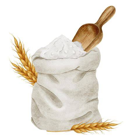 galettes de farine illustration informative