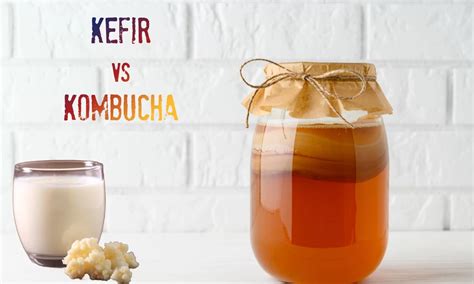 Schéma illustrant la différence entre kéfir de fruits et kéfir de lait, et rôle des grains