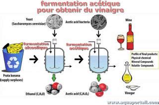 Schéma de la seconde fermentation et aromatisations possibles
