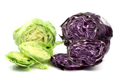 schéma comparatif chou rouge et chou blanc