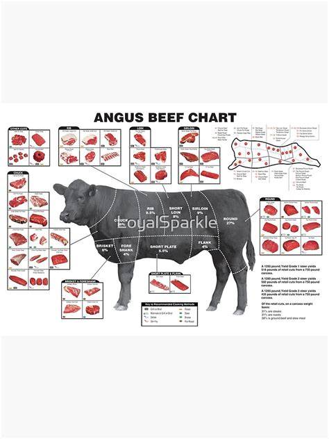 diagramme coupes de viande bœuf