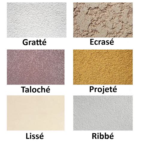 Infographie: Types de crépis intérieurs et méthodes d’enlèvement