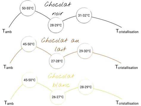 Infographie: schéma du tempérage du chocolat et montage des chocolats