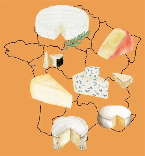 illustration_des_fromages_frais_varieties