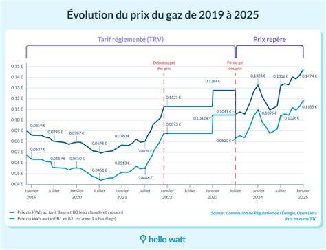 Graphique récapitulant les composants du prix du gaz et leur part dans la facture