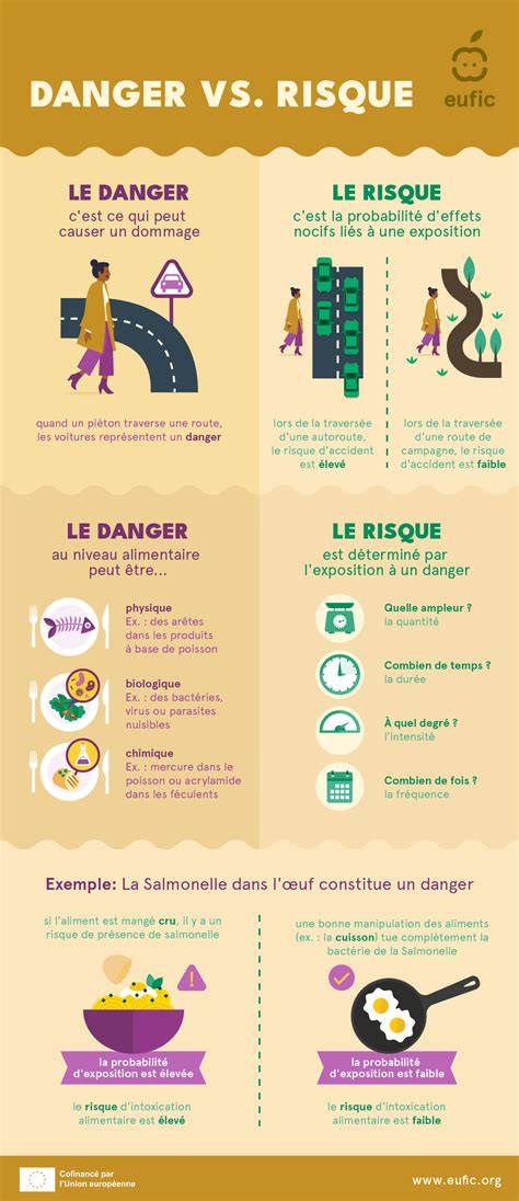 infographie : distinction denrées alimentaires vs confiseries (schéma explicatif)