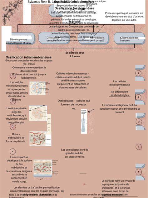 Carte conceptuelle: étapes clés de la préparation et de la cuisson
