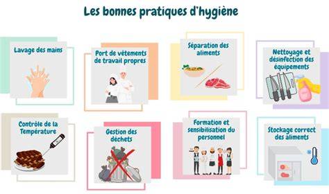 Infographie: Bonnes pratiques d'hygiène et sécurité alimentaire pendant la grossesse