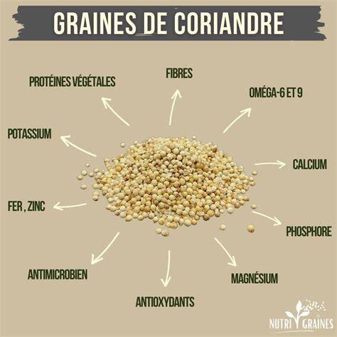 image-infographie-dahl-coriandre