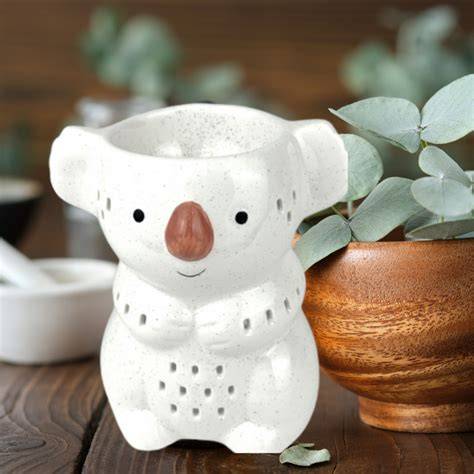 illustrationible design koala brûle-parfum