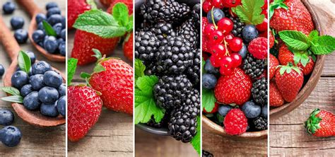 fiche-guise d'illustration culture petits fruits