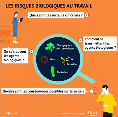 infographie-sur-ingredients-biologiques.jpg