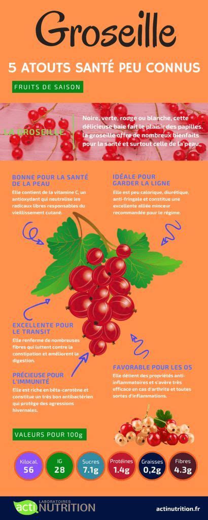 gros fruit groseille tarte infographie