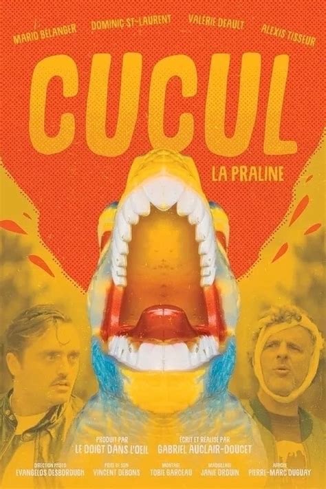 Cucul la praline concept art infographics