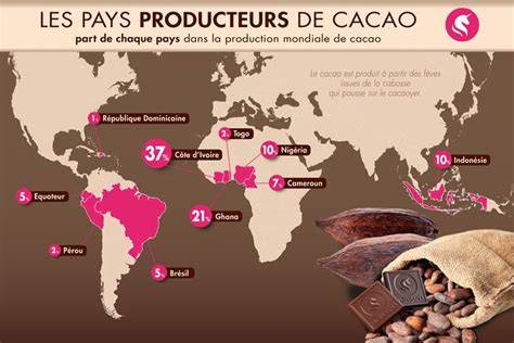 carte de parcours du cacao europe amerique