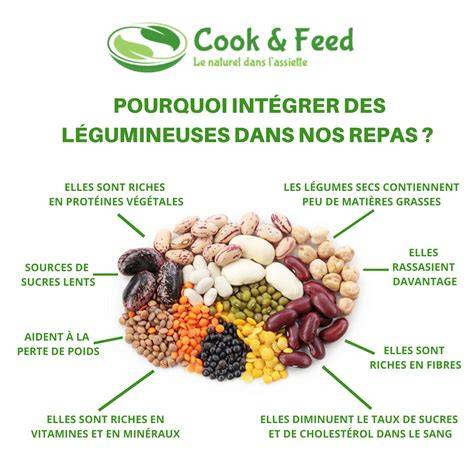 Infographie: Associations idéales entre porc et légumes et rôle des légumineuses