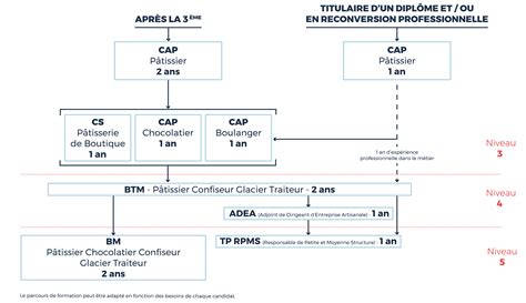 Illustration des parcours CAP Pâtissier et spécialisations
