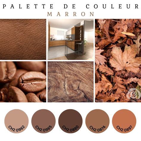 Exemple de palette marron chocolat pour pâtisserie