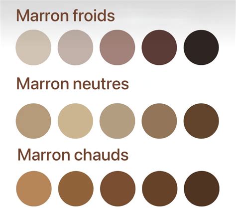 Palette marron chocolat et démos de gels
