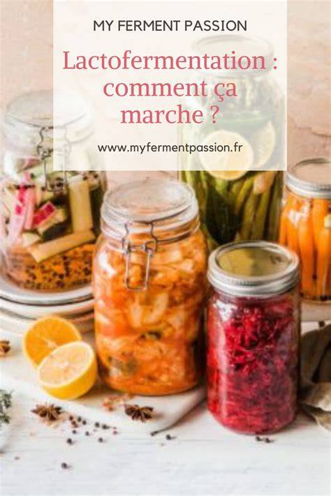 Infographie: Schéma de la lacto-fermentation des betteraves