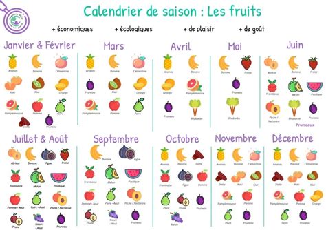 Carte des fruits de saison pour crumble par période