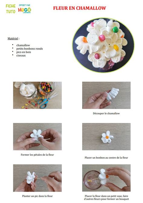 diagramme_de_la_recette_fleur_en_pâte_a_sucre