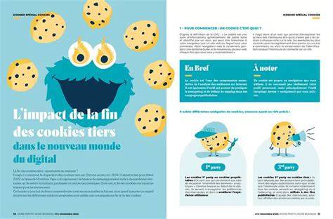 infographie-cookies-elle-effet-rotation