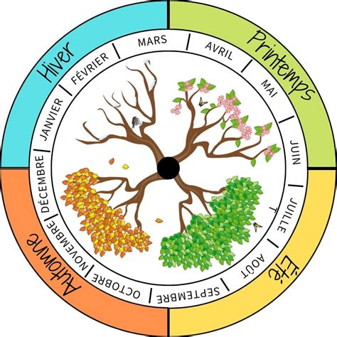 Carte des saisons et garnitures typiques: artichauts-printemps, tomates-été, champignons-automne, olives-hiver