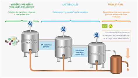 Diagramme montrant les étapes de la production de sukumo et de la fermentation liquide.
