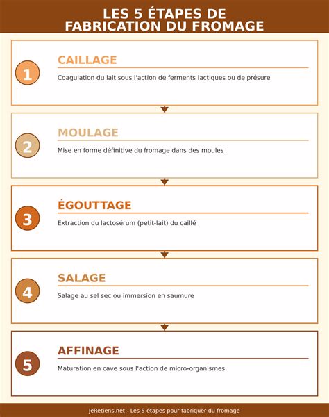 Infographie: étapes du caillage et égouttage du fromage blanc