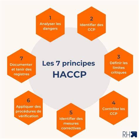 Infographie: Schéma de conservation des œufs en restauration (0-4 °C, FIFO, traçabilité, HACCP)
