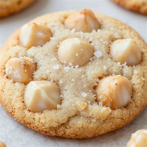 illustration biscuits chocolat blanc macadamia