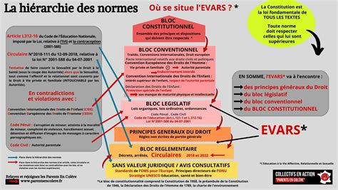 Infographie: Hiérarchie des ingrédients et origine