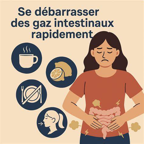 Illustration des mécanismes de formation des gaz intestinaux et des points d’influence alimentaire