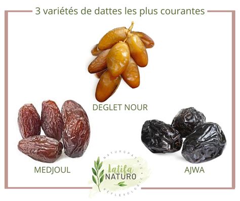 Échantillonnage visuel des variétés de dattes populaires