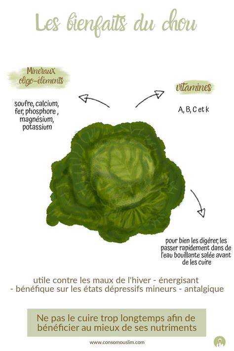 infographie sur les nutriments du chou et ses effets sur la santé