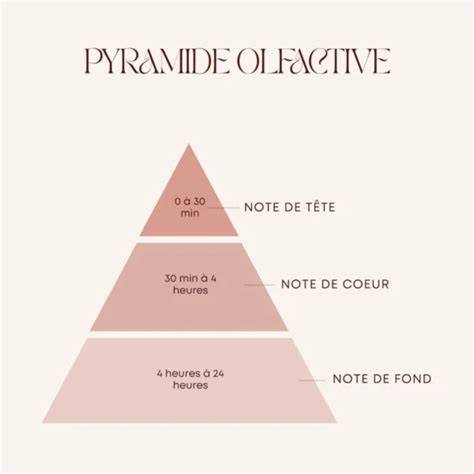 Infographie notes olfactives vanille fraise