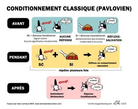 représentation graphique du conditionnement pavlovien