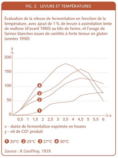 Infographie: Cycle de vie de la levure et ses usages (cuisson, fermentation, complément alimentaire)