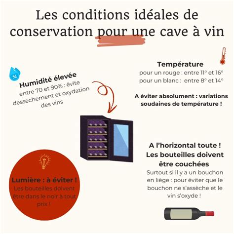 Infographie: Conditions idéales de conservation du vin blanc (température, humidité, lumière, position)