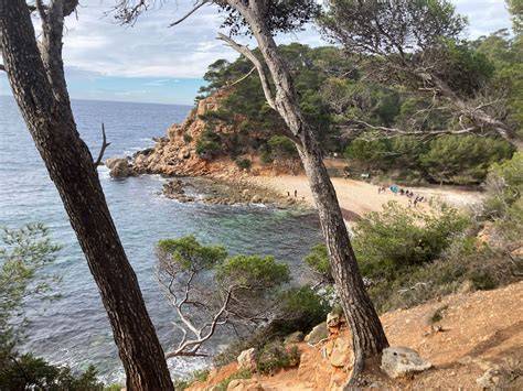 Randonnée encadrée depuis Bandol