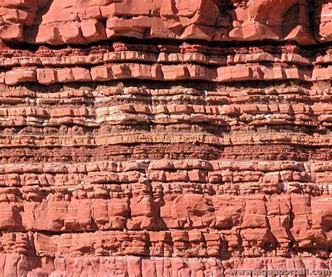 Schéma de la stratification des couches et gluten simulé par gomme xanthane